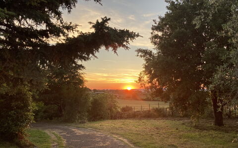 Villa Ginevra: Soleil, Feuille, Branche, Arbre, La Nature, Herbe, Paysage Naturel, Le Coucher Du Soleil, Lever Du Soleil