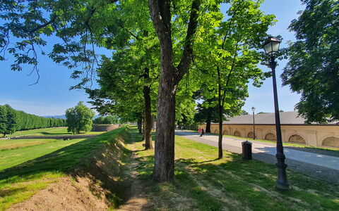 Ai Cantici: Arbre, Herbe, La Nature, Passerelle, Ombre, Parc, Allée, Aménagement Paysager, Ombre, Piste
