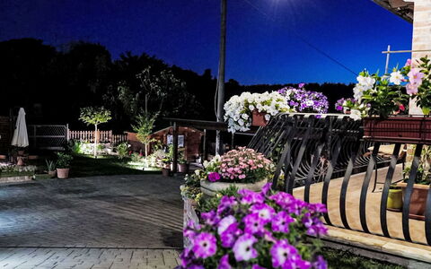 Le Rondini: Nuit, Pot De Fleur, Jardin, Floristique, Minuit, Aménagement Paysager, Plante D'Appartement, Éclairage Paysager, Cour