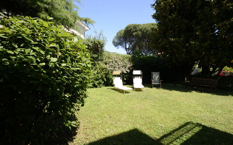 Casa Silvia: Feuille, Arbuste, Jardin, Pelouse, Couverture De Sol, Arrière-Cour, Ombre, Cour, Aménagement Paysager, Haie