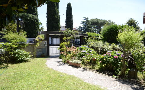 Casa Silvia: Arbuste, Jardin, Communauté Des Plantes, Couverture De Sol, Aménagement Paysager, Cour, Ombre, Arrière-Cour, Pelouse