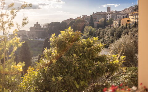 Casa Coccinella: La Nature, Végétation, Arbuste, Paysage, Matin, Lumière Du Soleil, Soirée, Crépuscule, Château, Meteorologique Phénomène