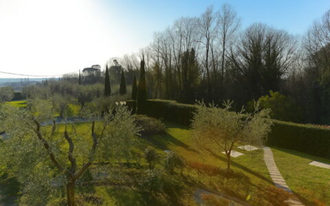 Villa Diamante: Herbe, Feuille, La Nature, Vert, Environnement Naturel, Végétation, Paysage Naturel, Arbuste, Paysage, Lot Terre