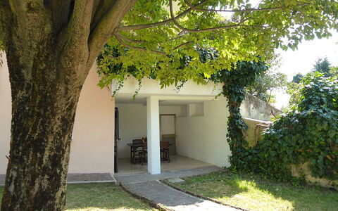 Villa Rosa Apartment: Jardin, Ombre, Arrière-Cour, Pelouse, Cour, Aménagement Paysager, Cour, Daylighting, Hacienda
