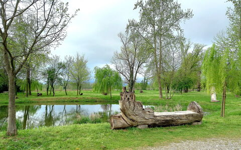 Villa Rosa Apartment: Arbre, Herbe, Branche, Environnement Naturel, La Nature, Paysage Naturel, Plaine, Prairie, Tronc