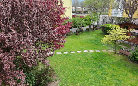 House Martina: Arbuste, Jardin, Couverture De Sol, Pelouse, Printemps, Arrière-Cour, Cour, Aménagement Paysager, Parc