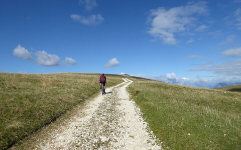 House Martina: Prairie, Écorégion, Plaine, Colline, Piste, Paysage, Steppe, Nuage, Prairie