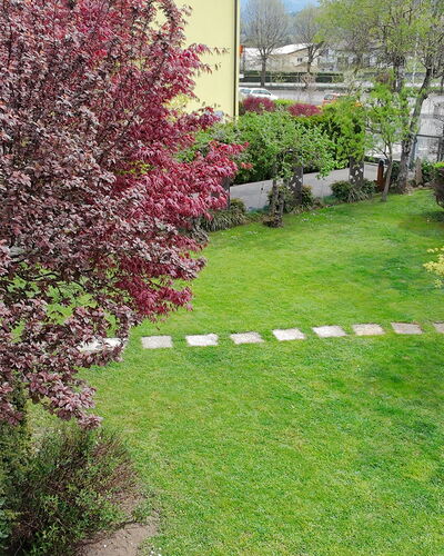 House Martina: Arbuste, Jardin, Couverture De Sol, Pelouse, Printemps, Arrière-Cour, Cour, Aménagement Paysager, Parc