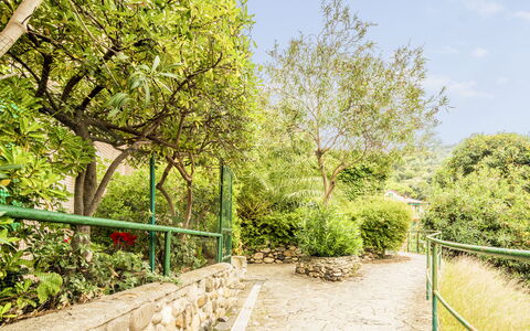 Casa Dolly, Monterosso 5 Terre: Vert, Végétation, Arbuste, Printemps, Jardin, Ombre, Jardin Botanique, Aménagement Paysager, Clôture, Passerelle