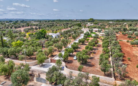 Trulli di Luccio: Arbre, Paysage, Lot Terre, Vue Du Ciel, Photographie Aérienne, Plantation, Village, Aménagement Paysager