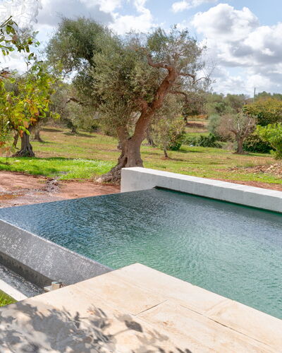 Villa Manè: Composite, Jardin, Piscine, Caractéristique De L'Eau, Aménagement Paysager, Arrière-Cour, Matériau Naturel, Conception