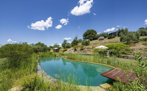 Aqua Bio Retreat: Bleu, Paysage Naturel, Étang, Jardin, Piscine, Réflexion, Aménagement Paysager, Réservoir, Eco Hôtel