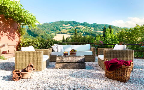 Torre Fantini: Meubles, Mobilier De Jardin, Osier, Chaise, Pot De Fleur, Canapé, Jardin, Ombre, Coussin