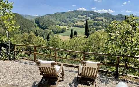 Torre Fantini: Arbre, Paysage, Meubles, Mobilier De Jardin, Forêt, Printemps, Tableau De Plein Air, Ombre, Station De Montagne, Dur