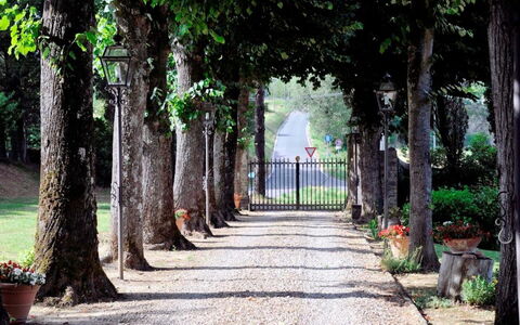 Villa Medicea Lo Sprocco: Arbuste, Passerelle, Jardin, Tronc, Allée, Piste, Trottoir, Ombre, Aménagement Paysager, Dalle