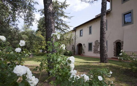 Relais de Ricci: Arbuste, Biens, Jardin, Hacienda, Allée, Aménagement Paysager, Cour, Cour, Passerelle, Arrière-Cour
