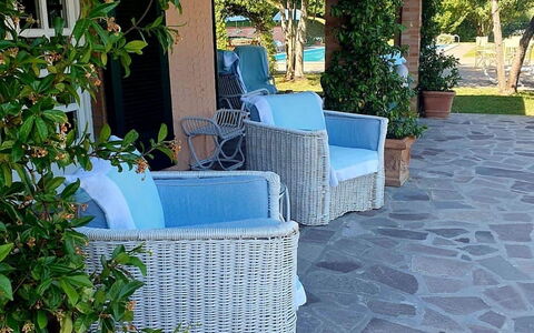 Casa Mia: Meubles, Mobilier De Jardin, Ombre, Chaise, Pot De Fleur, Sol, Dalle, Tableau De Plein Air, Jardin, Aménagement Paysager