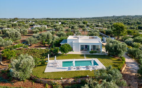 Lacorte di Ninetta: Paysage, Lot Terre, Biens, Aménagement Paysager, Plantation, Villa