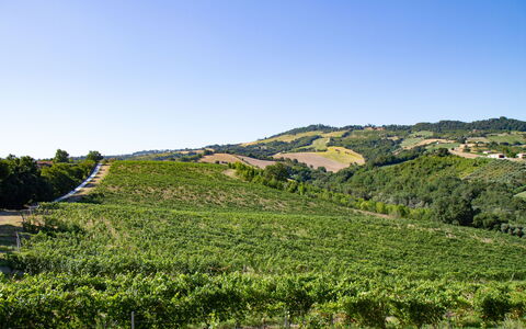 Zena Apartment: Vert, Colline, Paysage Naturel, Agriculture, Plantation, Champ, Montagnes, Paysage, Zone Rurale