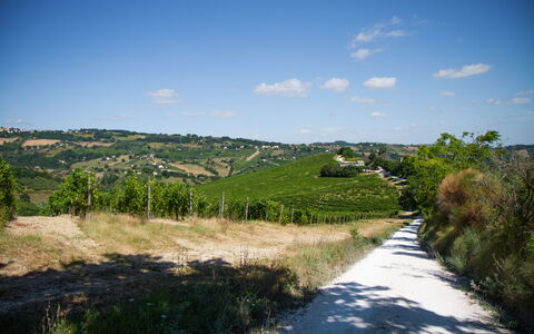 Zena Apartment: Vert, Végétation, Paysage Naturel, Prairie, Paysage, Colline, Zone Rurale, Arbuste, Plaine