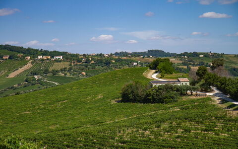 Zena Apartment: Vert, Agriculture, Champ, Plantation, Zone Rurale, Plaine, Prairie, Paysage, Lot Terre