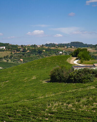 Zena Apartment: Vert, Agriculture, Champ, Plantation, Zone Rurale, Plaine, Prairie, Paysage, Lot Terre