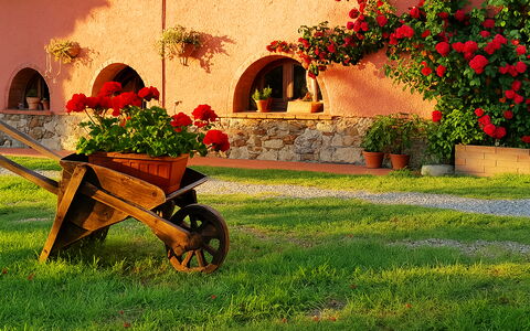 Appartamento Girasole Seaside and Pool: Jardin, Aménagement Paysager, Cour, Pot De Fleur, Arrière-Cour, Hacienda, Plante D'Appartement