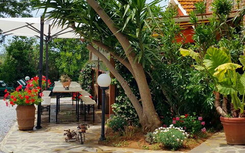 Appartamento Papavero Seaside and Pool: Vert, Pot De Fleur, Jardin, Meubles, Ombre, Mobilier De Jardin, Arrière-Cour, Plante D'Appartement, Chaise