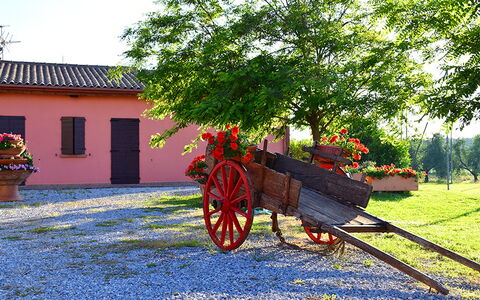 Appartamento Papavero Seaside and Pool: Jardin, Aménagement Paysager, Cour, Allée, Pot De Fleur, Hacienda