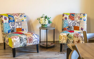 Zena Suite: Meubles, Design Intérieur, Jaune, Sol, Sol, Textile, Chaise, Marron, Salon, Orange