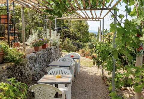 La Torre sul Ponte, Seaview, Garden: Ombre, Jardin, Agriculture, Plantation, Chaise, Mobilier De Jardin, Structure En Plein Air, Tableau De Plein Air