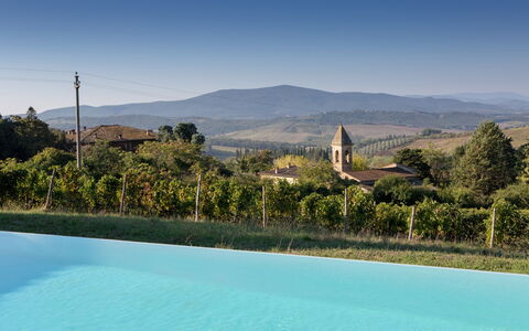 Podere Sangiovese, Pool and View in Chianti: Piscine, Eco Hôtel, Hacienda, Recours, Villa