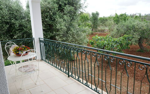Villa Antony: Balcon, Le Fer, Métal, Clôture, Porche, Mobilier De Jardin, Chaise, Ombre, Tableau De Plein Air, Balustrade