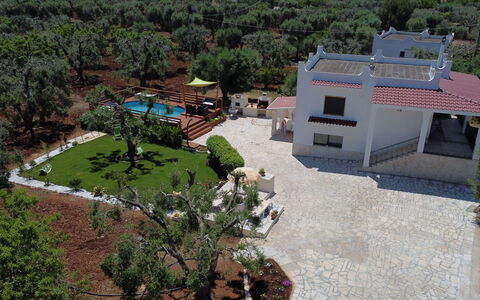 Villa Antony: Domicile, Biens, Jardin, Hacienda, Aménagement Paysager, Cour, Manoir, Villa, Allée, Ombre