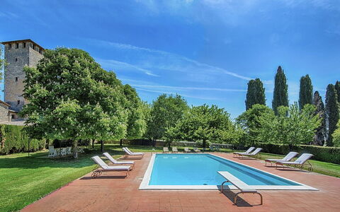 Medieval Castle Living: Vineyards, Swimming Pool &: Arbuste, Jardin, Biens, Haie, Aménagement Paysager, Pelouse, Hacienda, Villa, Cour, Manoir