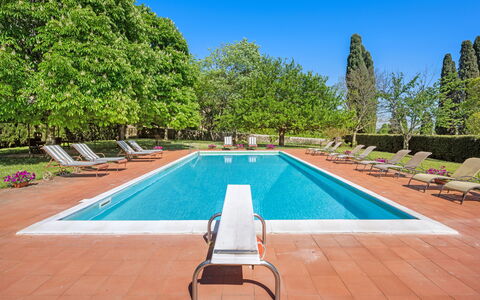 Medieval Castle Living: Vineyards, Swimming Pool &: Arbuste, Jardin, Piscine, Biens, Hacienda, Ombre, Aménagement Paysager, Pelouse, Villa, Recours