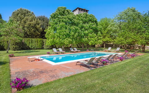 Medieval Castle Living: Vineyards, Swimming Pool &: Arbre, Arbuste, Jardin, Pelouse, Biens, Plantation, Piscine, Parc, Aménagement Paysager, Hacienda