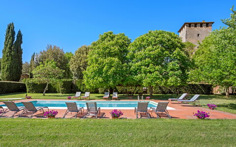 Medieval Castle Living: Vineyards, Swimming Pool &: Arbuste, Jardin, Biens, Hacienda, Pelouse, Aménagement Paysager, Plantation, Haie, Cour, Parc