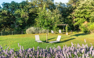 Cignella Resort