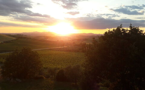 Podere Peteglia: Soleil, Horizon, La Nature, Le Coucher Du Soleil, Paysage Naturel, Lever Du Soleil, Afterglow, Colline, Paysage, Crépuscule
