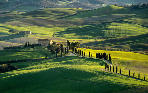 Il Gallinaio, Vivo D'Orcia: Herbe, Paysage Naturel, Colline, Prairie, Paysage, Montagnes, Champ, Plaine, Zone Rurale, Prairie