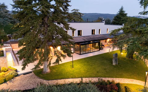 Villa Bocchi: Arbre, Ombre, Pelouse, Jardin, Biens, Cour, Aménagement Paysager, Passerelle, Parc
