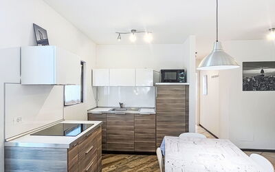 Logement:&nbsp;Stella Alpina 205.2