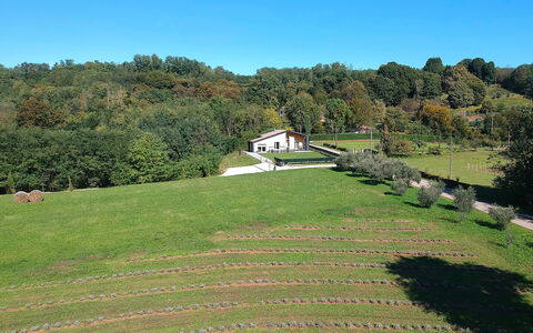 Villa Dolce Bosco with Pool, Valdobbiadene: Arbre, Herbe, Plaine, Paysage, Prairie, Arbuste, Zone Rurale, Lot Terre, Couverture De Sol