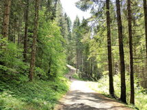 Villa Dolce Bosco with Pool, Valdobbiadene