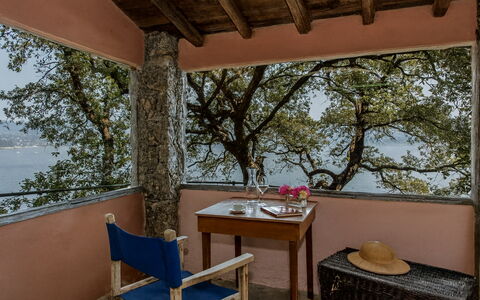 Portofino: Bois, Cotiers Et Relief Océaniques, Côte, Mer, Ombre, Rive, Balcon, Chaise, Baie, Réservoir