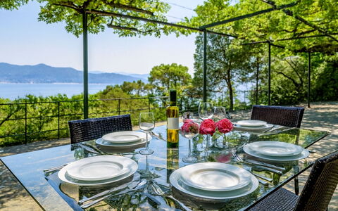 Portofino: Meubles, Table, Chaise, Table Cuisine Et Salle A Manger, Tableau De Plein Air, Restaurant, Mobilier De Jardin, Ombre, Recours, Jardin