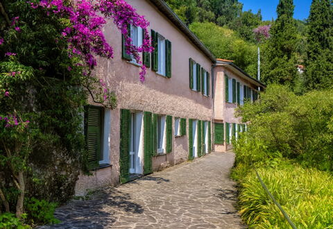 Portofino: Arbuste, Printemps, Jardin, Passerelle