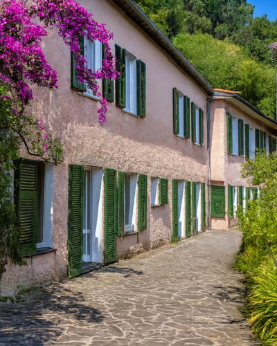 Portofino: Arbuste, Printemps, Jardin, Passerelle