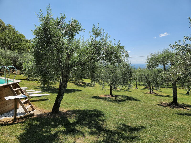 La Casa Rossa, Shared Pool, Marliana